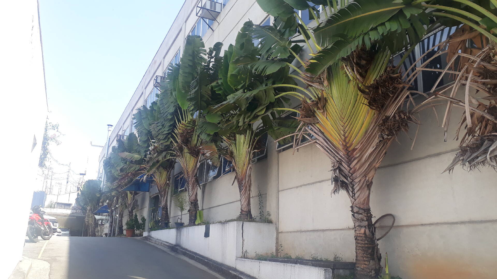 #913 - Galpão para Locação em Barueri - SP