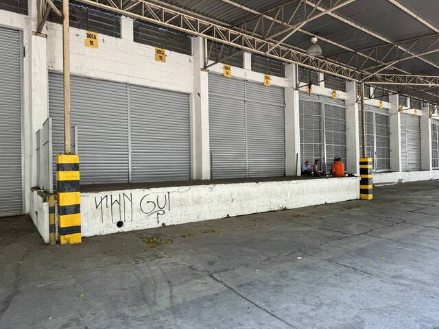 Galpão para Locação em São Paulo - 4