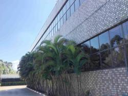 #335 - Galpão para Locação em Barueri - SP