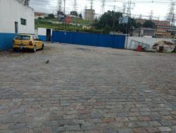 Galpão para Venda em São Paulo - 5