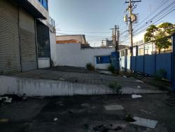 Galpão para Locação em Osasco - 4