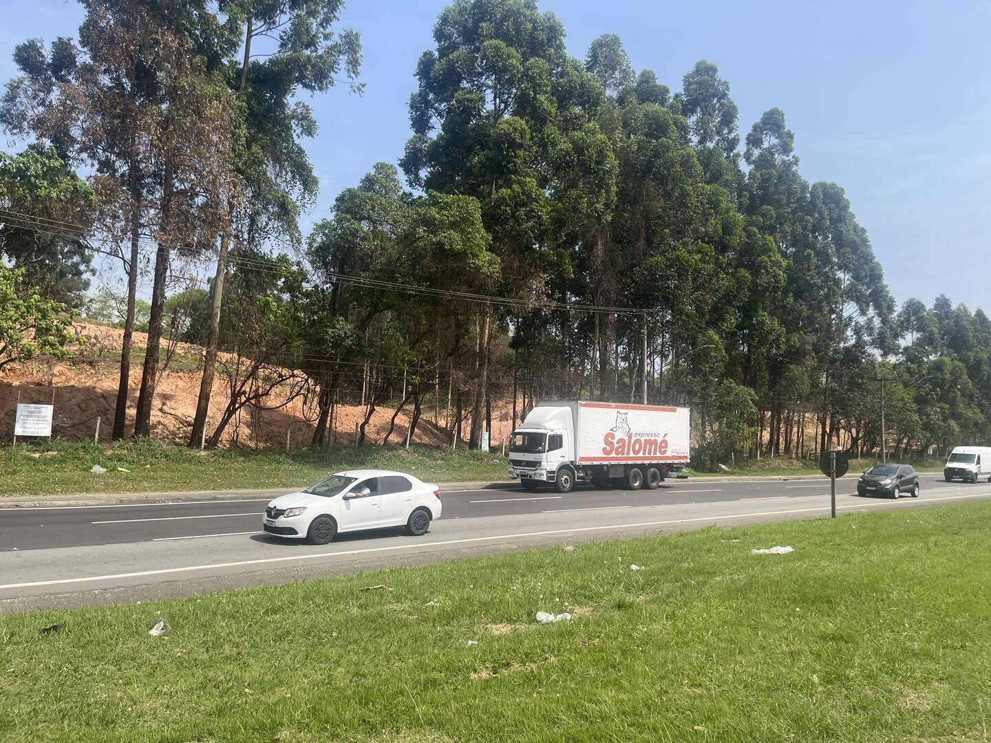 Terreno, 4 hectares - Foto 7