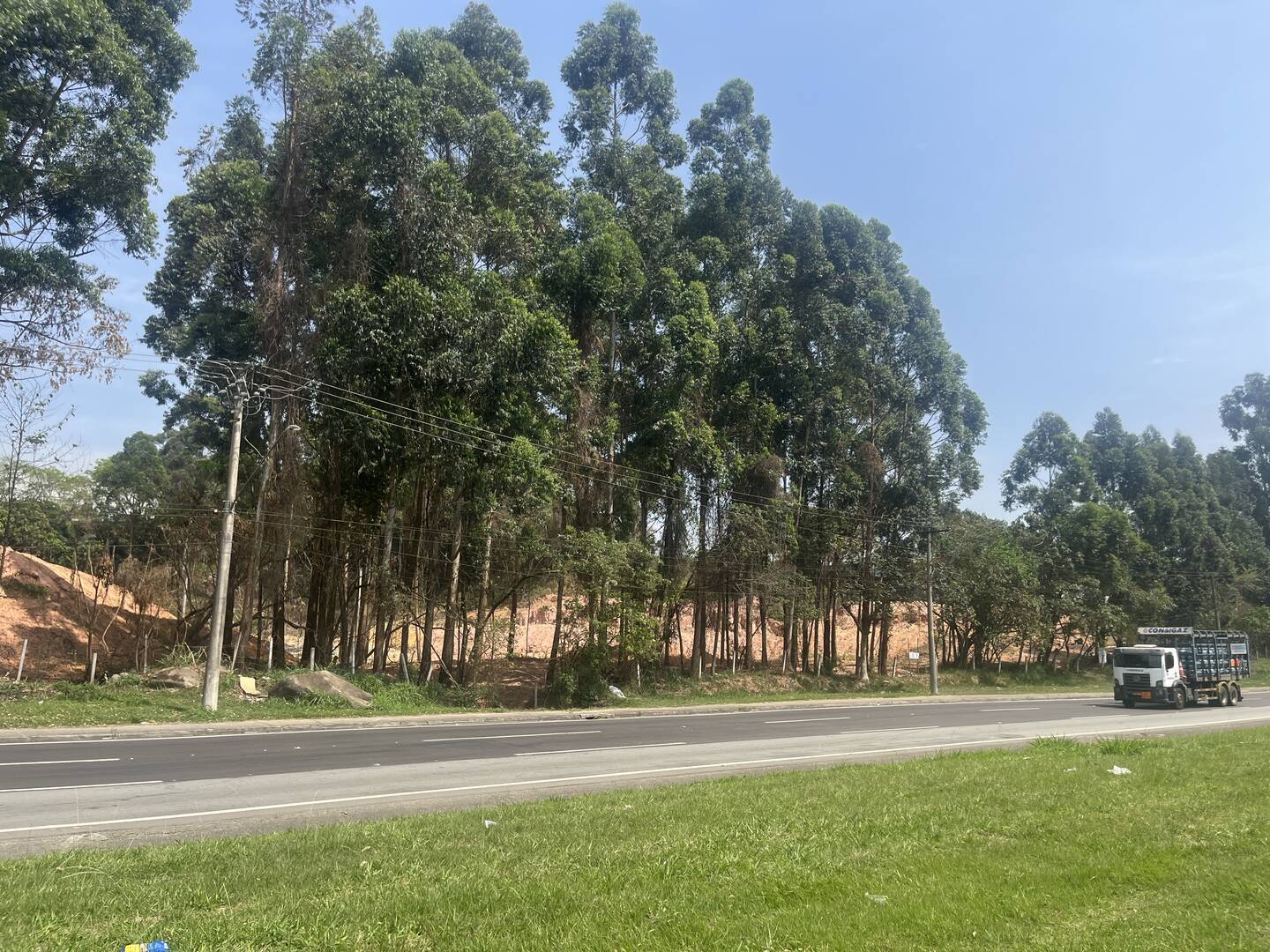 Terreno, 4 hectares - Foto 13