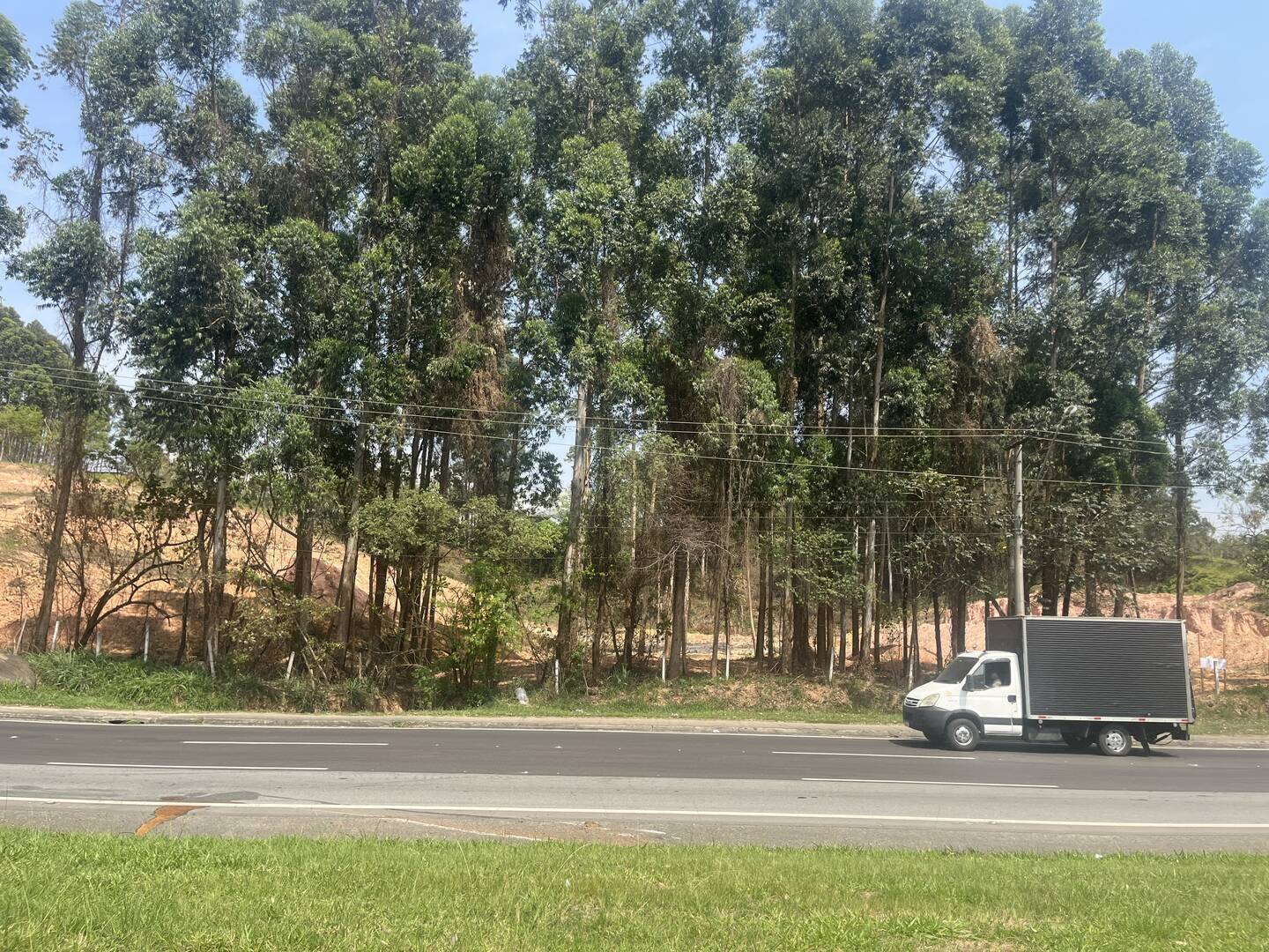 Terreno, 4 hectares - Foto 14