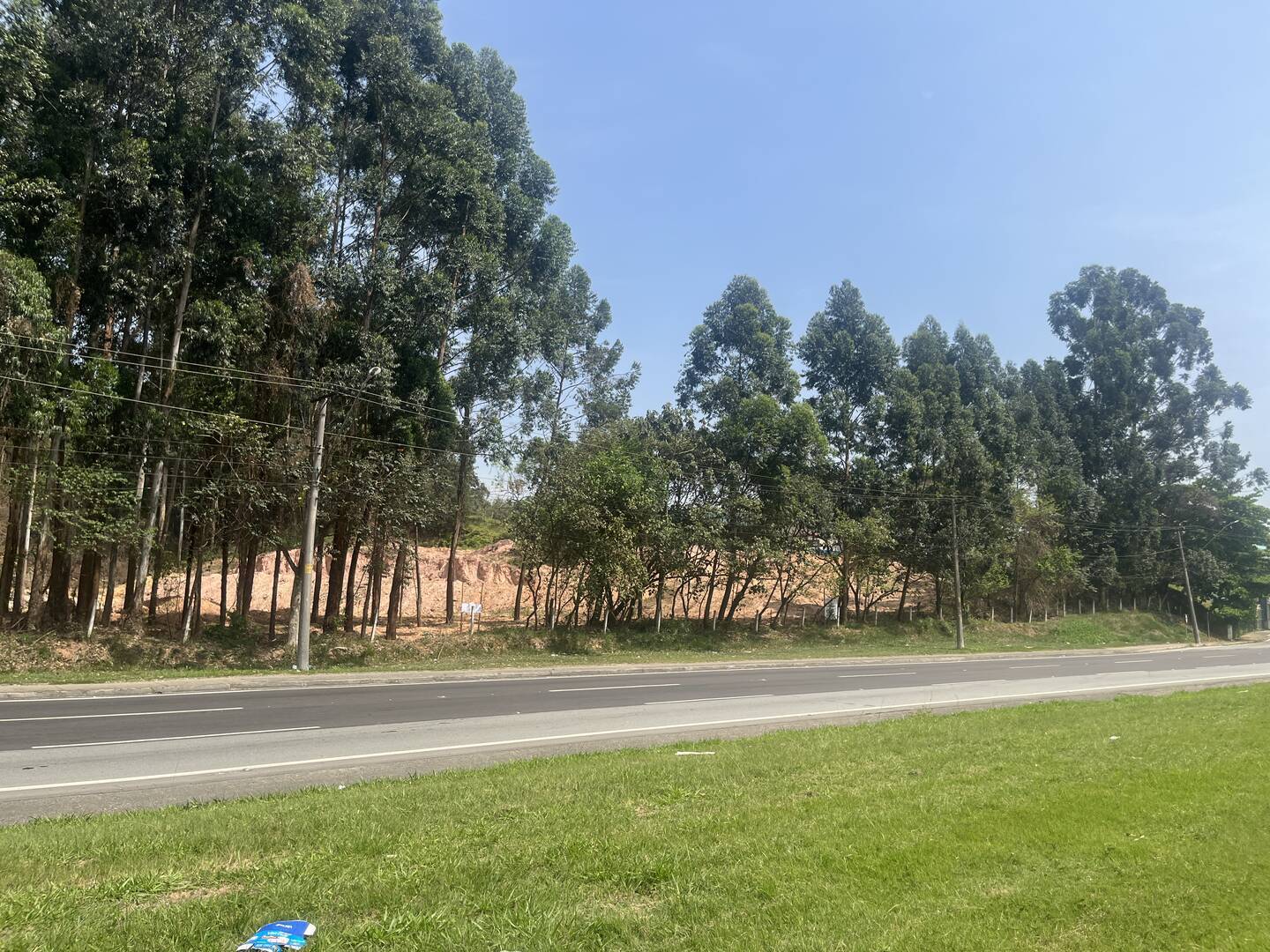 Terreno, 4 hectares - Foto 16