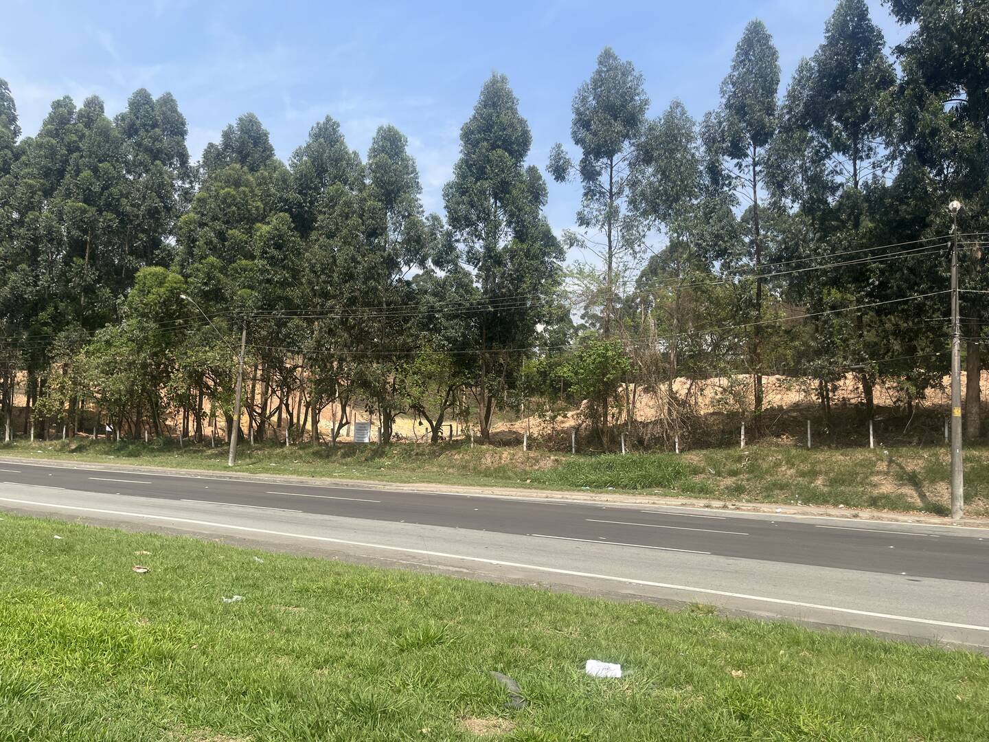 Terreno, 4 hectares - Foto 19