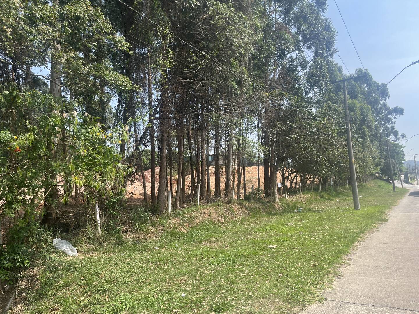 Terreno, 4 hectares - Foto 20