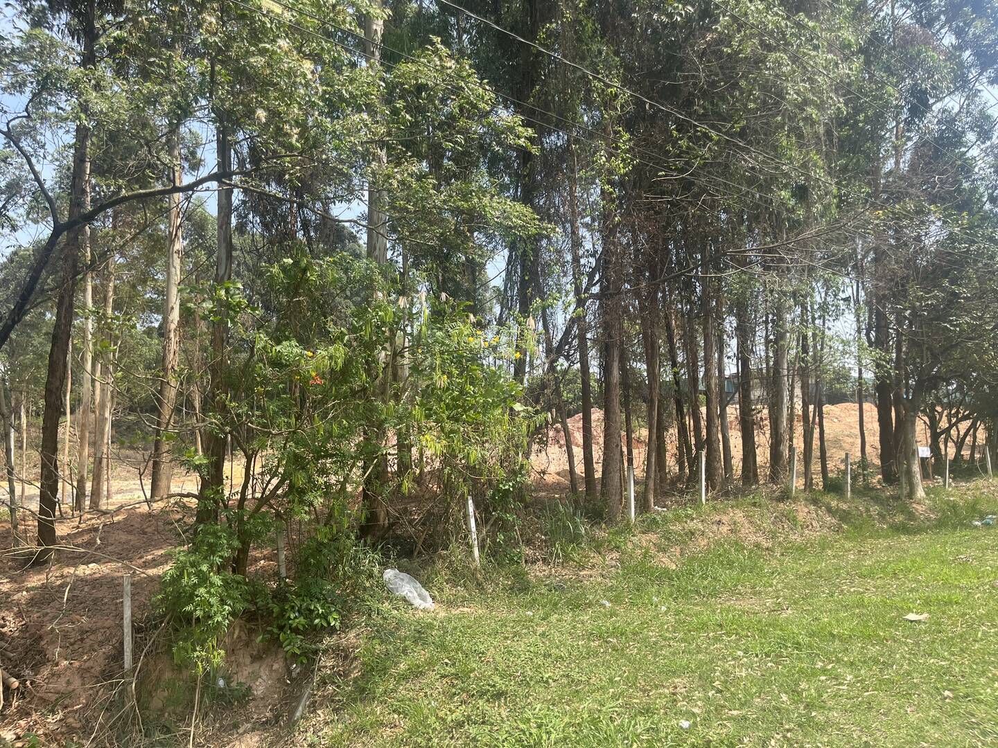 Terreno, 4 hectares - Foto 21