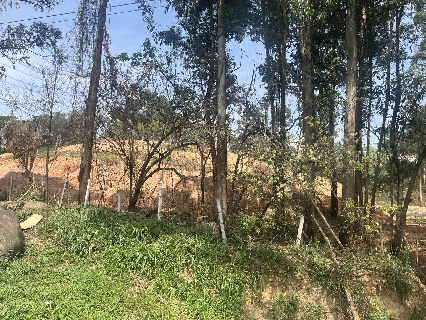 Terreno, 4 hectares - Foto 23