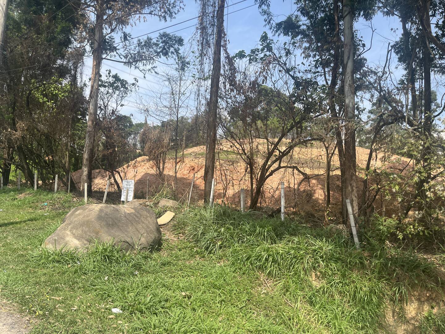 Terreno, 4 hectares - Foto 24