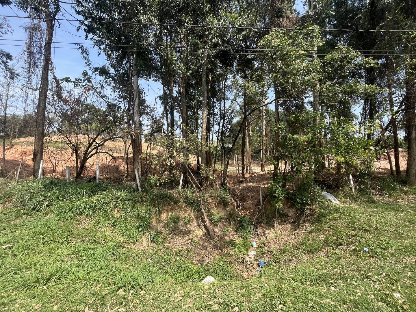 Terreno, 4 hectares - Foto 26