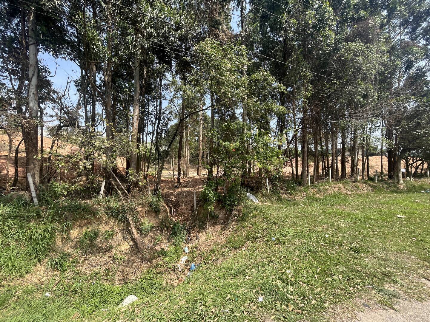 Terreno, 4 hectares - Foto 27