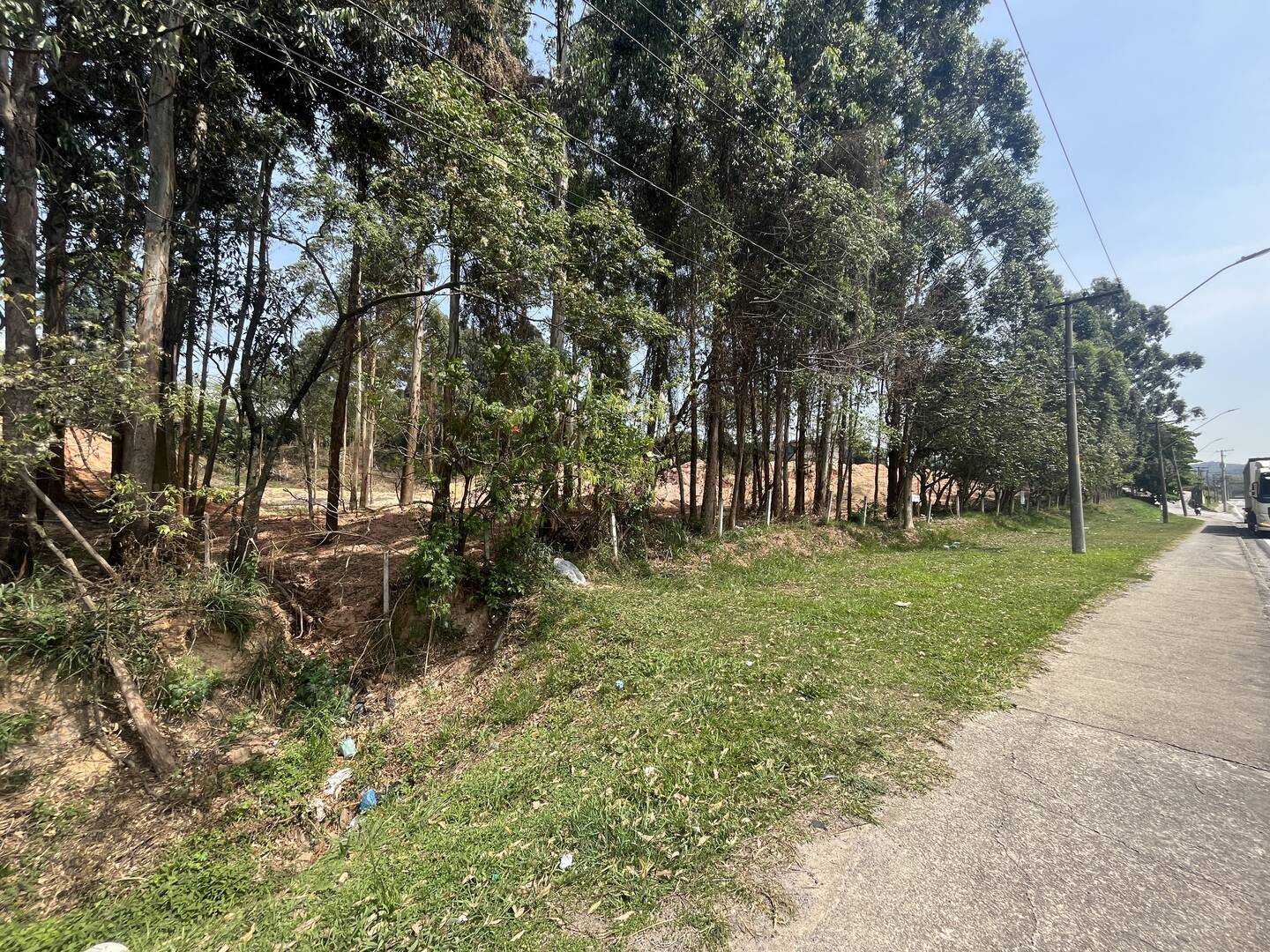 Terreno, 4 hectares - Foto 28