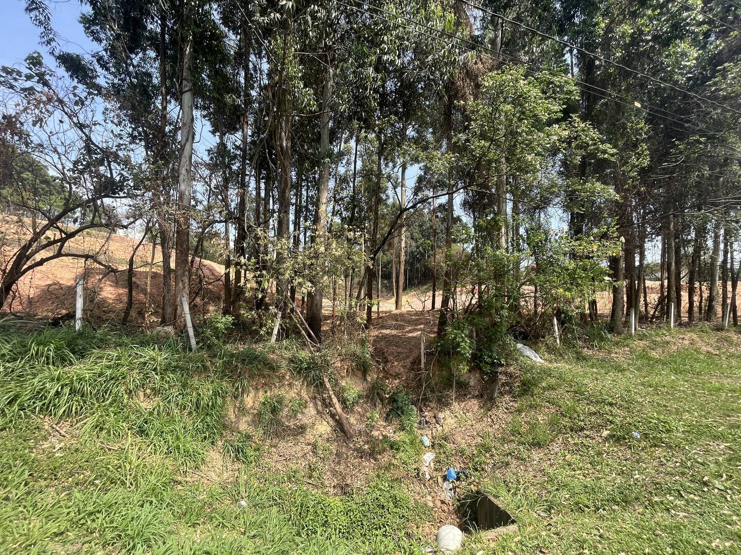 Terreno, 4 hectares - Foto 29