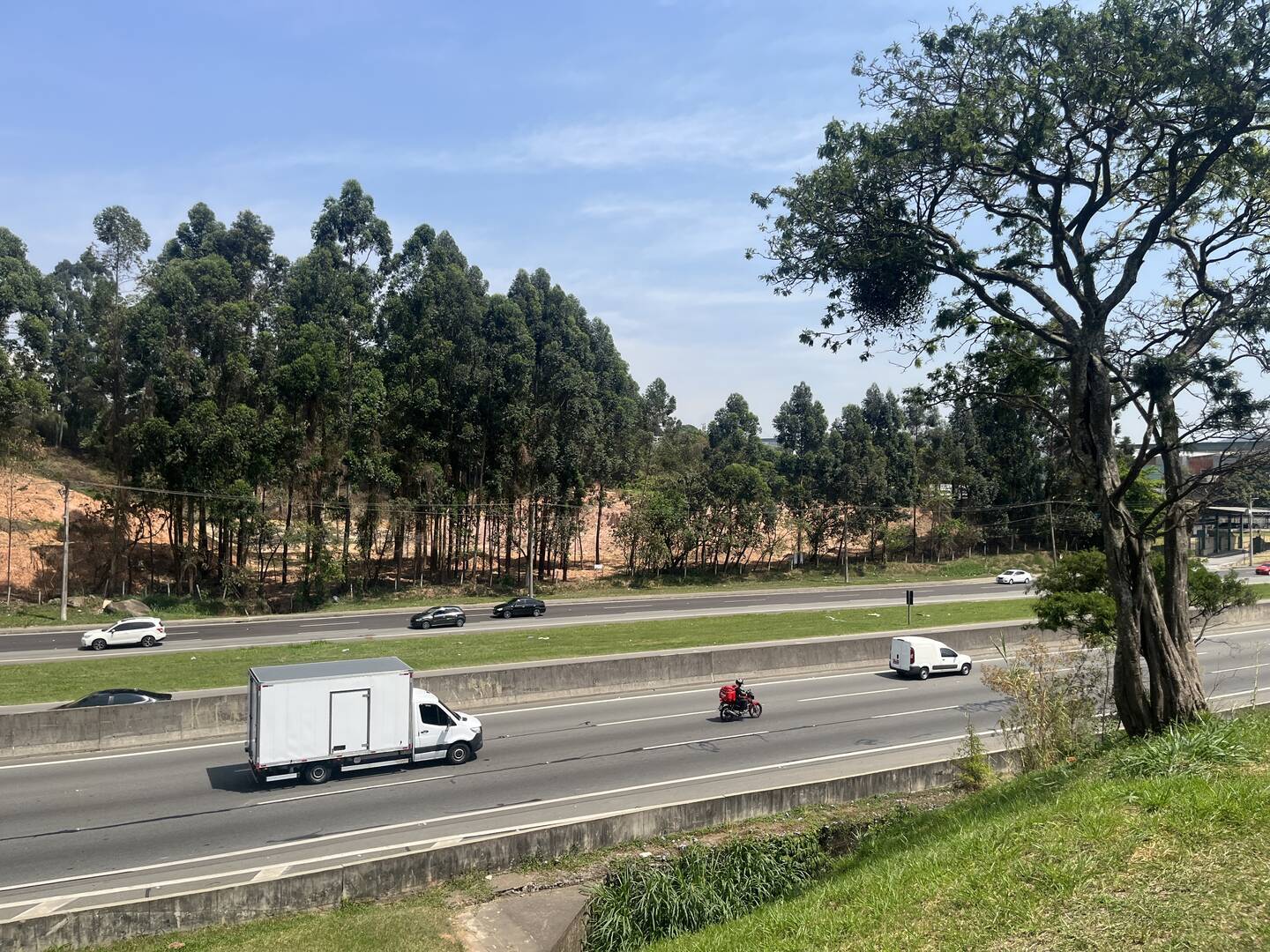 Terreno, 4 hectares - Foto 33