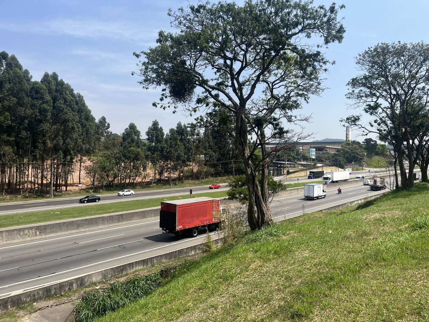 Terreno, 4 hectares - Foto 34