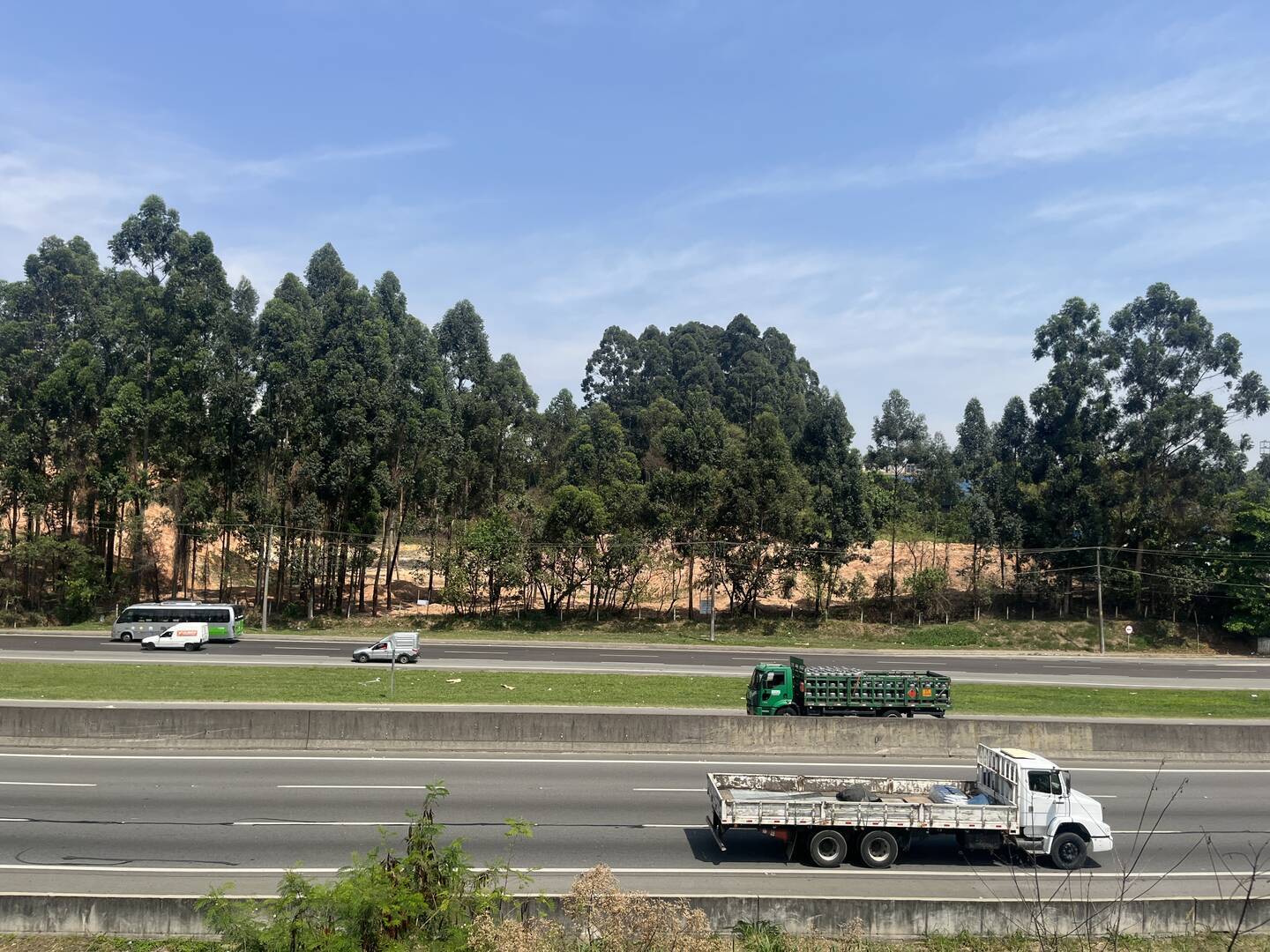 Terreno, 4 hectares - Foto 40