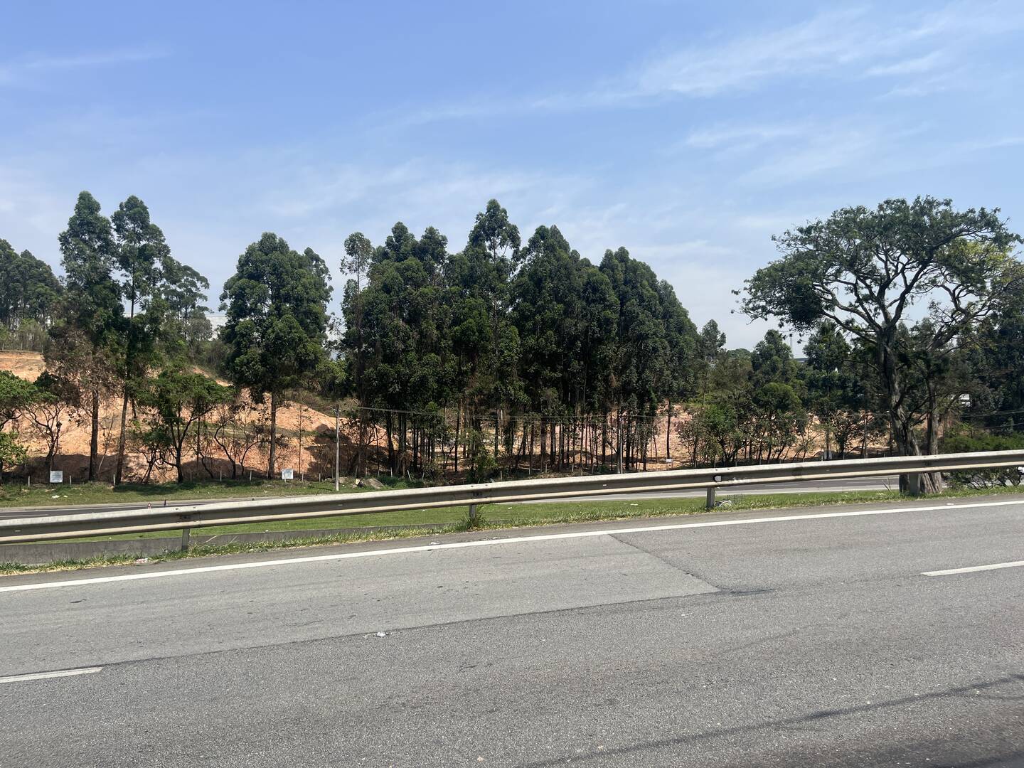 Terreno, 4 hectares - Foto 43