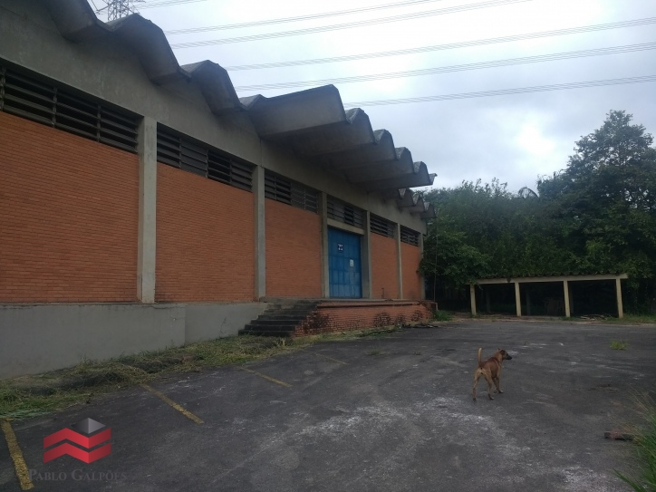 Depósito-Galpão, 10507 m² - Foto 5