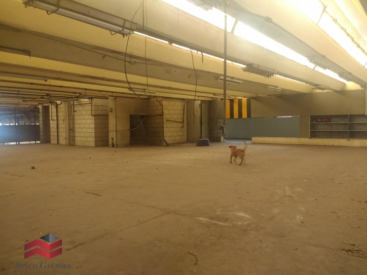 Depósito-Galpão, 10507 m² - Foto 22