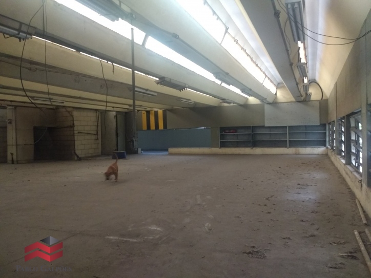 Depósito-Galpão, 10507 m² - Foto 23